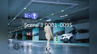 Scene 3 0001-0095