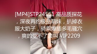 [MP4]STP24561 高品质探花，深夜再约极品萌妹，扒掉衣服大奶子，骑乘爆插多毛骚穴，爽的受不了浪叫 VIP2209