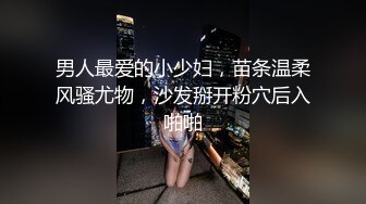 男人最爱的小少妇，苗条温柔风骚尤物，沙发掰开粉穴后入啪啪