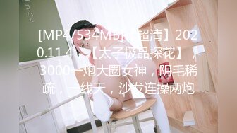 [MP4/534MB]【超清】2020.11.4，【太子极品探花】，3000一炮大圈女神，阴毛稀疏，一线天，沙发连操两炮