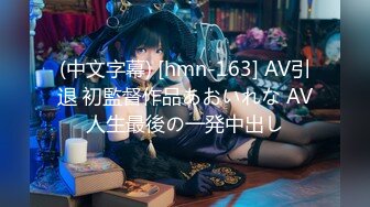 (中文字幕) [hmn-163] AV引退 初監督作品あおいれな AV人生最後の一発中出し