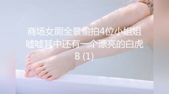 推荐，让人摇摇欲坠的面容【少女椰子】天价收费，扒开击穿你的灵魂美腿自摸一穴加个小特写 (3)