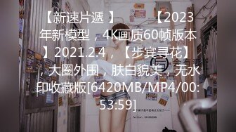 【新速片遞 】 ⭐⭐⭐【2023年新模型，4K画质60帧版本】2021.2.4，【步宾寻花】，大圈外围，肤白貌美，无水印收藏版[6420MB/MP4/00:53:59]