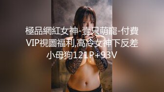 極品網紅女神-壹只萌寵-付費VIP視圖福利,高冷女神下反差小母狗121P+93V